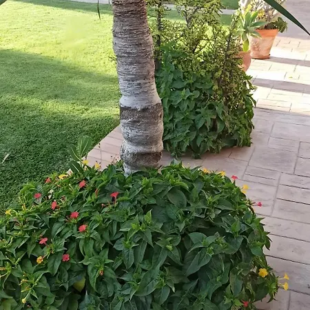 Casa Manolo بيت للعطل شيكلانا دي لا فرونتيرا